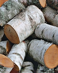 Березовые дрова в чураках